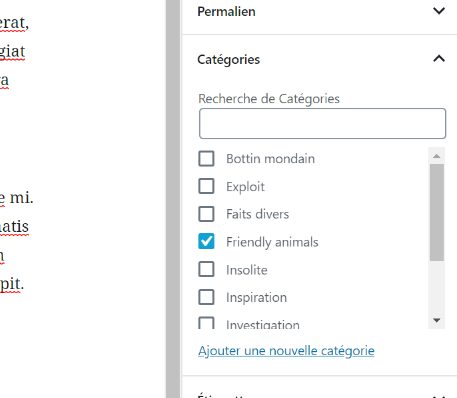 La nouvelle catégorie est disponible dans l'éditeur d'article